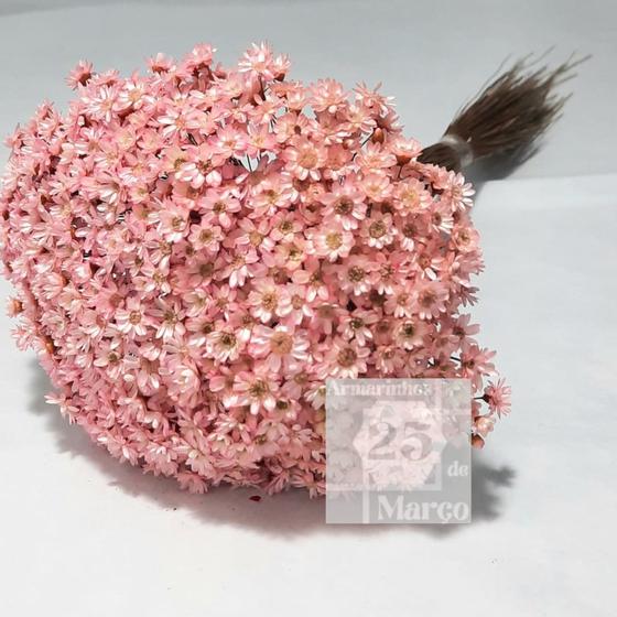 Imagem de 600 Mini Florzinhas Sempre Viva Natural