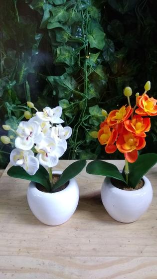 8 arranjos de mini orquídeas - Helida flores - Flores Artificiais -  Magazine Luiza