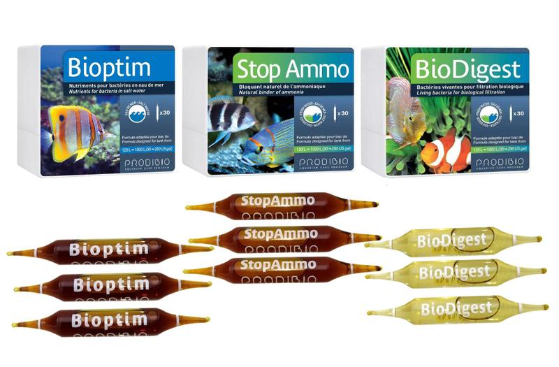 Imagem de 9 ampolas Prodibio Stop Ammo Biodigest Bioptim Acelerador Biológico
