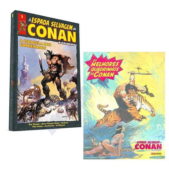 Imagem de A Cidadela dos Condenados: Col. A espada selvagem de Conan - Vol. 1