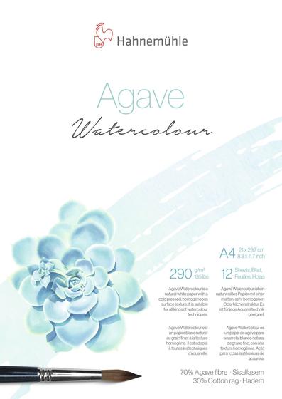 Imagem de Agave Hahnemuhle 290g Fina A4 12fls