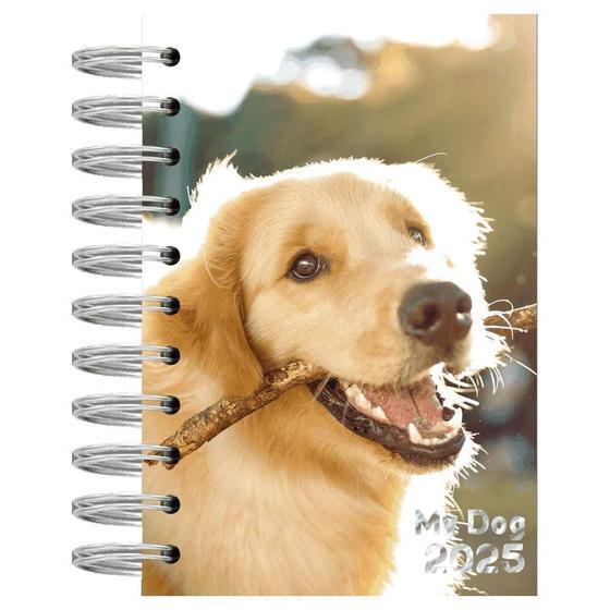 Imagem de Agenda Diária 2025 Esp 100X150Mm My Dog Golden Kit