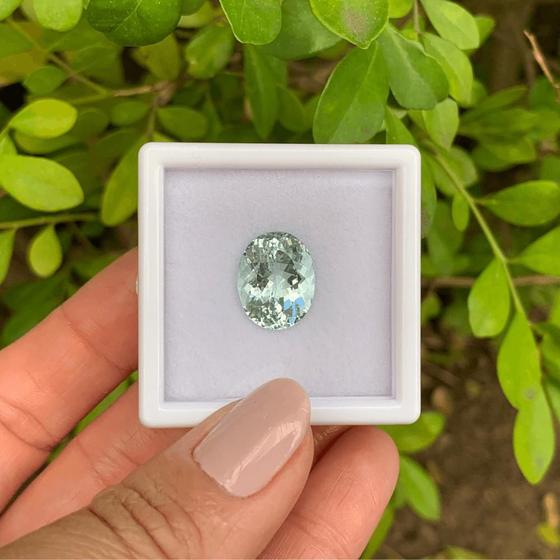 Imagem de Água Marinha Incolor Oval 7,82ct