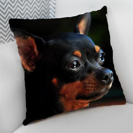 Imagem de Almofada Decorativa Cheia c/ Zíper 40x40cm, Pinscher