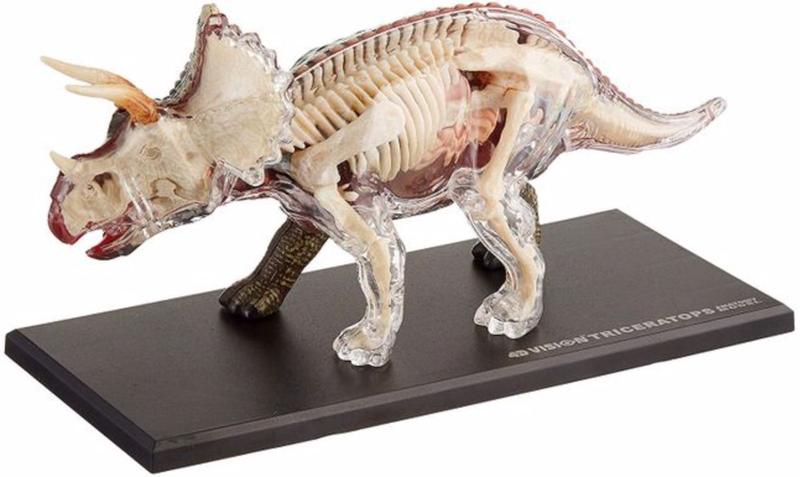 Imagem de Anatomia do Triceratops