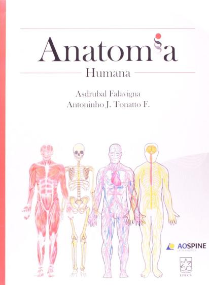 Imagem de Anatomia humana