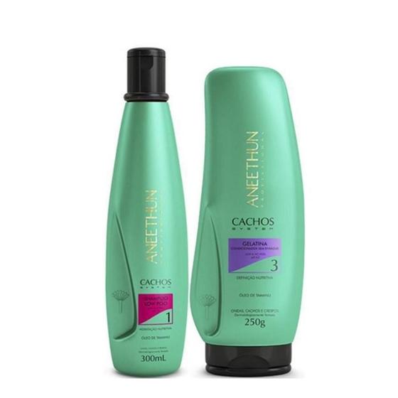 Imagem de Aneethun Cachos Shampoo 300ml + Gelatina 250g