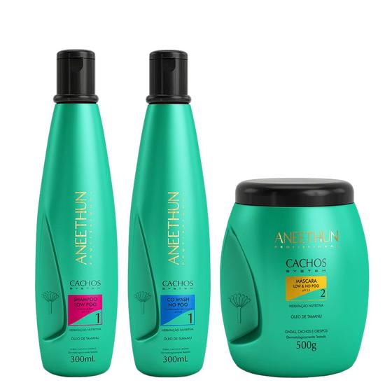 Imagem de Aneethun Cachos System Kit Shampoo Low Poo Condicionador Co-Wash No Poo e Máscara Low & No Poo 500g