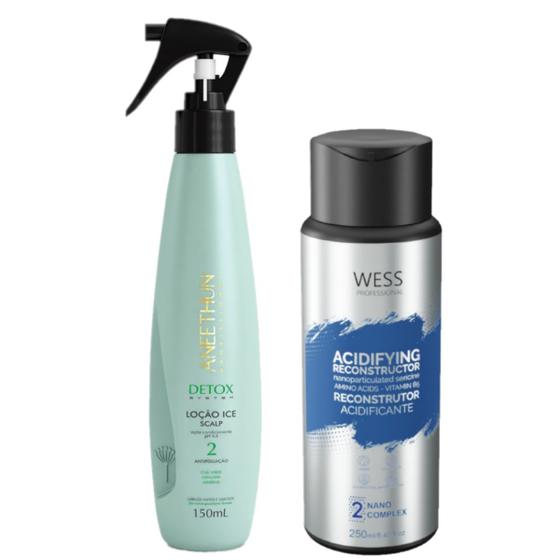 Imagem de Aneethun Detóx System Loção 150ml +Wess Nano Passo 2 -250ml