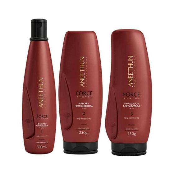 Imagem de Aneethun Force System Kit Shampoo + Máscara + Finalizador