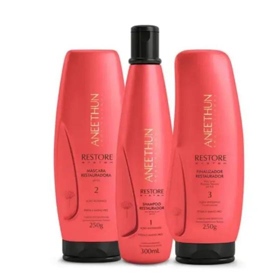 Imagem de Aneethun Kit Restore Anti Danos Sh300ml+ Másc250g+ Finali250g