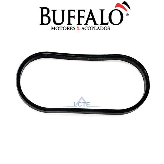 Imagem de Anel O Ring Retangular Motor BFD 7.0cv Diesel Buffalo 21