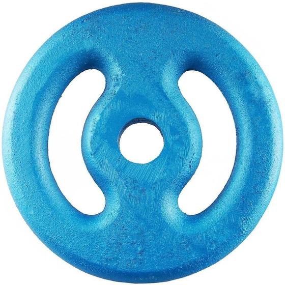 Imagem de Anilha Vazada De Ferro Fundido Pintada Para Musculação Academia 04 Kg