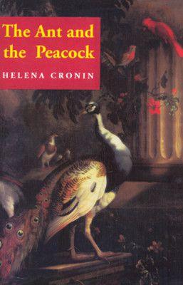 Imagem de ANT AND THE PEACOCK, THE -  