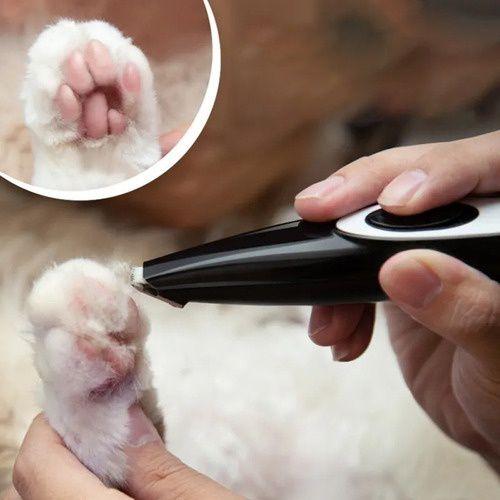 Imagem de Aparador Para Pet Pé Cabelo Usb Recarregável Elétrico Clipper Cão Gato Animais Limpa Tosa