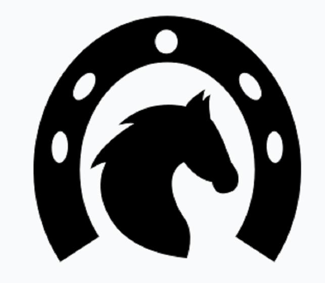 Imagem de Aplique Cavalo mais ferradura Em Mdf Apliques De Parede Preto com fita dupla face