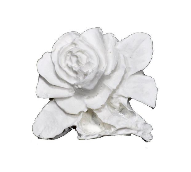 Imagem de Aplique Rosa com Flores e Cabo 5,5x5,5 R0114 Resina
