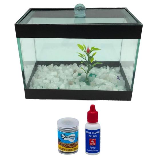 Imagem de Aquario Beteira 2 Litros Completo Com Pedra Planta Anti- Cloro Ração