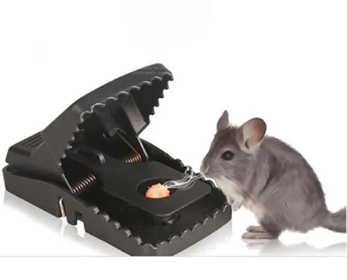 Imagem de Armadilha De  Alta Eficiência Para Capturar Contra Ratos e Insetos Rasteiros