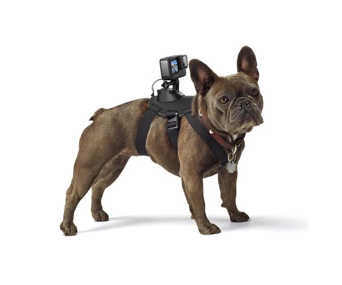 Imagem de Arnês para cães GoPro Fetch Official Mount para GoPro