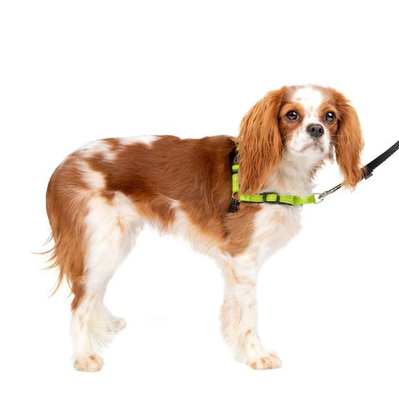 Imagem de Arnês para cães PetSafe Deluxe Easy Walk No Pull Small Apple