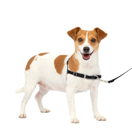 Imagem de Arnês para cães PetSafe Easy Walk No-Pull pequeno preto/prata