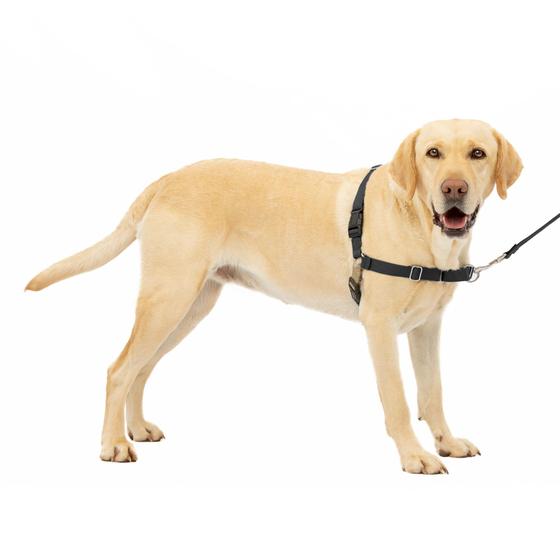 Imagem de Arnês para cães PetSafe Easy Walk Ultimate No-Pull Control