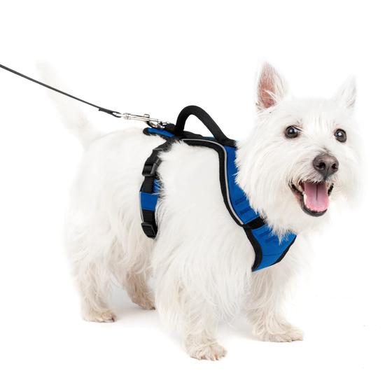 Imagem de Arnês para cães PetSafe EasySport ajustável acolchoado azul pequeno