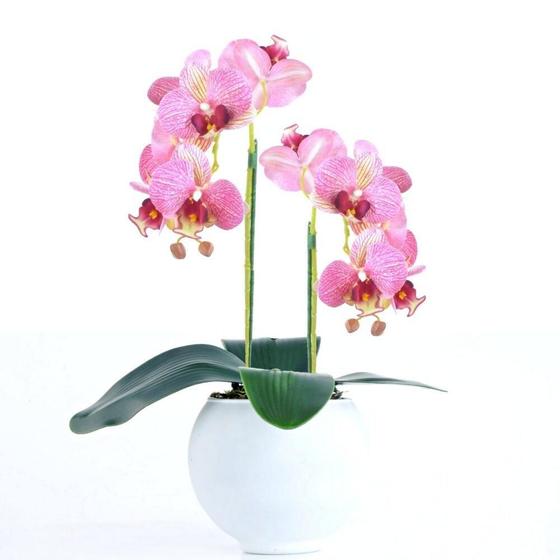 Imagem de Arranjo 2 Orquídeas Rosa em Vaso Branco Fosco Diva
