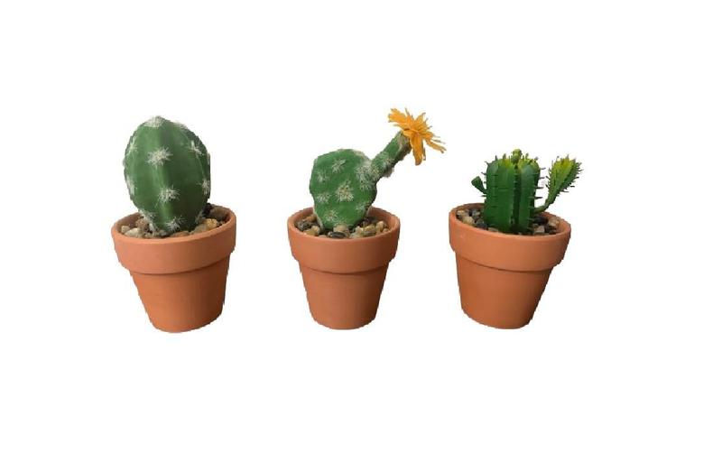 Imagem de Arranjo 3 Plantas Artificial Vaso Cerâmico Cactus Mix Tuut