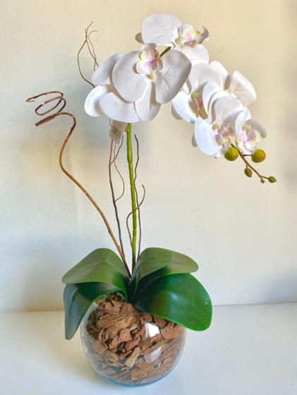 Arranjo de flor Artificial Orquídea 3D Silicone Realista Vaso de vidro com  Cascalhos - Infinity - Arranjos de Flores - Magazine Luiza