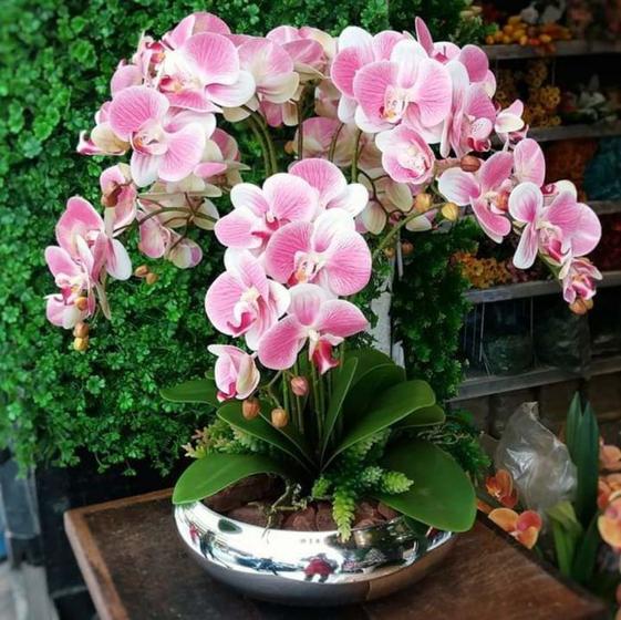 Imagem de Arranjo De Flores 10 Orquídeas Artificial no vaso de Prata