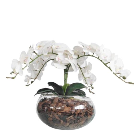 Imagem de Arranjo De Mesa 4 Flor Orquídeas Artificial Real Vaso Grande