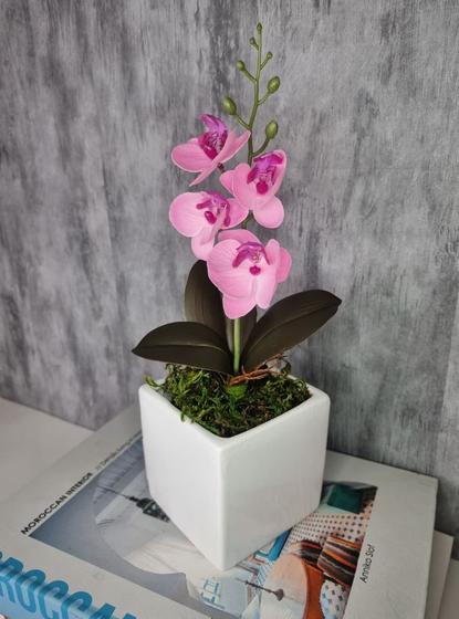 Imagem de Arranjo De Mini Orquídea Rosa Vaso Branco Quadrado
