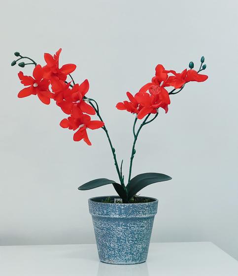 Arranjo de Mini Orquídea Vermelha Vaso Cinza - La Caza Store - Flores de  Natal - Magazine Luiza
