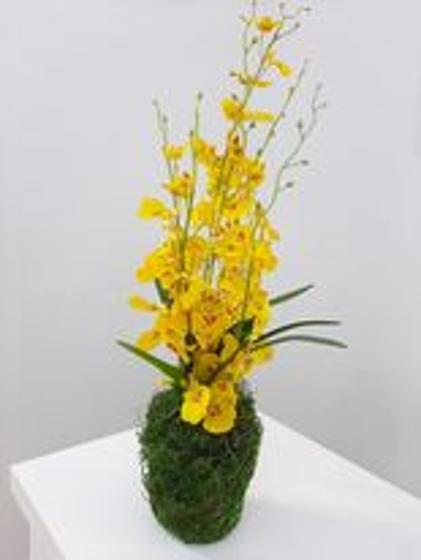 Arranjo de Orquídea Amarela 50 x 10 cm - Flor de liz - Flores Artificiais -  Magazine Luiza