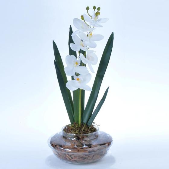 Arranjo de Orquídea Artificial Branca em Terrário Pequeno Any - Vila das  Flores - Flor e Planta Artificial - Magazine Luiza