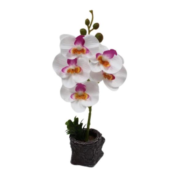 Arranjo de Orquídea Artificial de Plástico com Vaso de Resina Planta Flores Decorativas Menor preço em Arranjo de Orquídea Artificial de Plástico com Vaso de Resina Planta Flores Decorativas