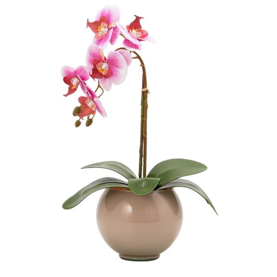 Imagem de Arranjo De Orquídea Artificial Silicone Com Vaso Vidro
