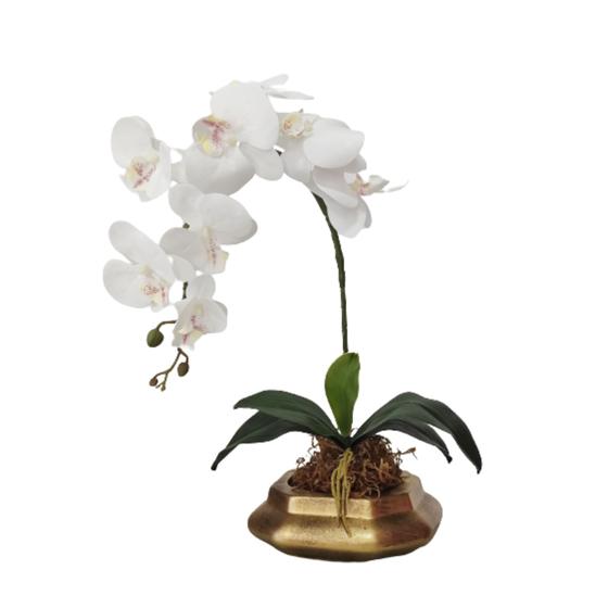 Imagem de Arranjo de orquídea flores artificiais e vaso cimento Luís