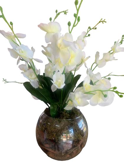 Imagem de Arranjo de orquídea vaso de vidro preenchimento cascas