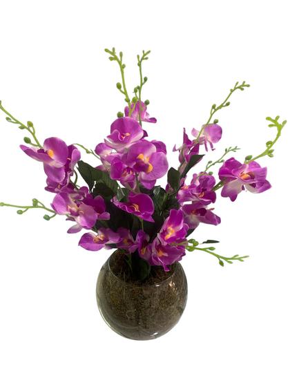 Imagem de Arranjo de orquídea vaso de vidro preenchimento cascas