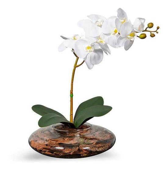 Arranjo Flores 1 Orquídea Branca Toque Real Com Vaso Vidro - La Caza Store  - Flores de Natal - Magazine Luiza
