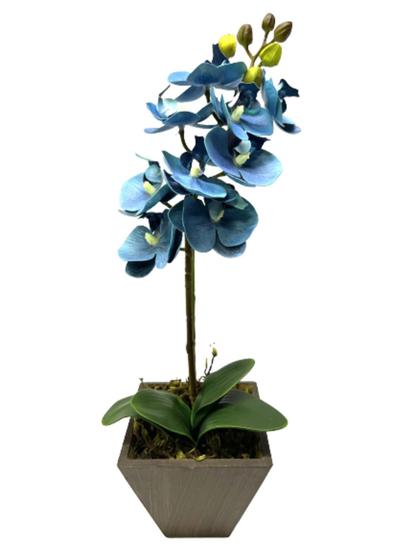 Arranjo Flores Artificiais Orquídea Silicone Pequena Azul Cachepot Madeira  decoração - JL FLORES ARTIFICIAIS - Arranjos de Flores - Magazine Luiza