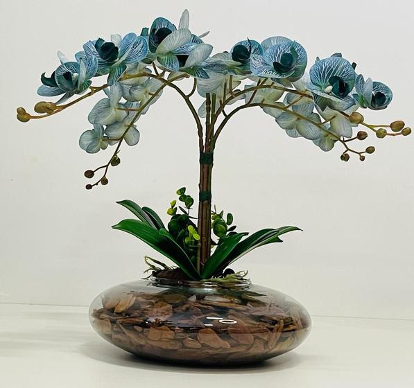 Arranjo Flores Orquídea Com Vaso Grande - Azul 3D - La Caza Store -  Arranjos de Flores - Magazine Luiza