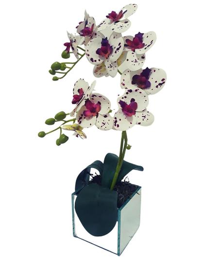 Arranjo Vaso Vidro Espelhado Com Orquídeas Branca Mesclada - Darc Flores E  Arranjos - Flores de Natal - Magazine Luiza