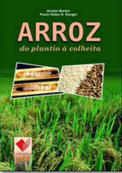 Imagem de Arroz do plantio a colheita