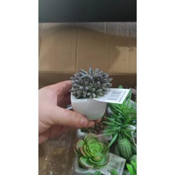 Imagem de Artificiais Mini Suculentas e Mini Cactus Vaso Cerâmica Branco decoraçao de casa