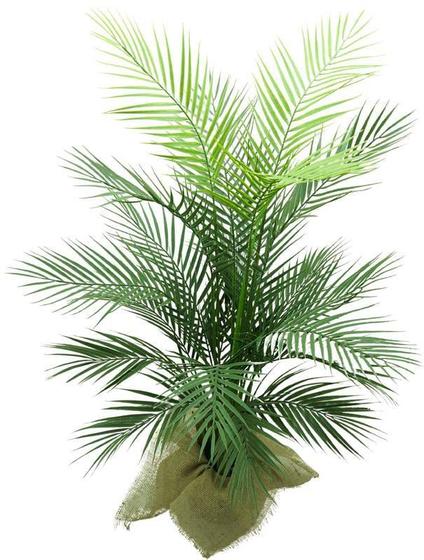 Imagem de Arvore Planta Palmeira Areca 120cm (COM POTE) Coqueiro