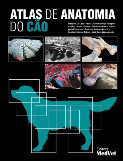 Atlas de anatomia do cao - MEDVET Imagem de Atlas de anatomia do cao